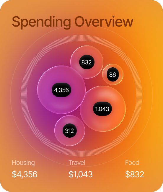 Spending Overview widget