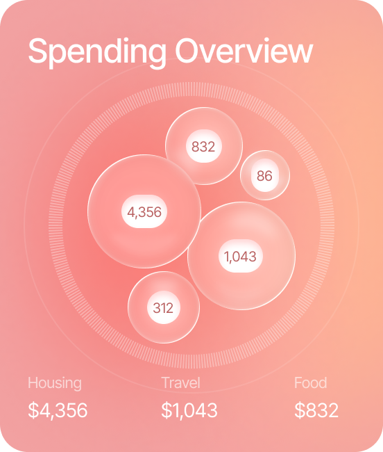 Spending Overview widget